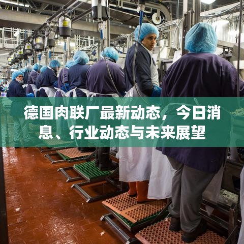 德国肉联厂最新动态，今日消息、行业动态与未来展望