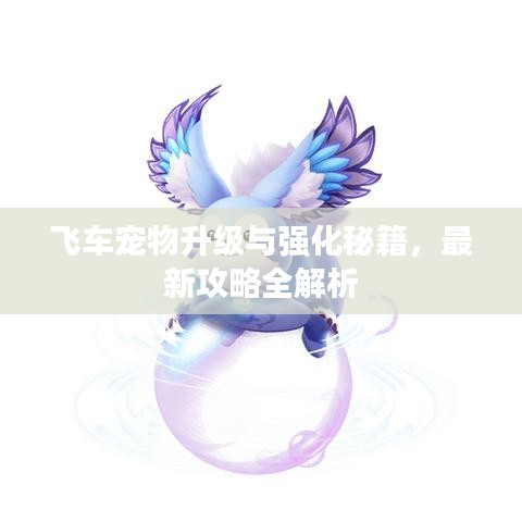 飞车宠物升级与强化秘籍，最新攻略全解析