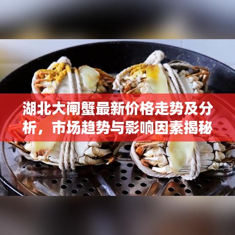 湖北大闸蟹最新价格走势及分析，市场趋势与影响因素揭秘！