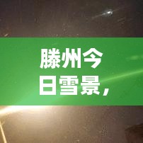 滕州今日雪景，冬日的诗意与浪漫绽放