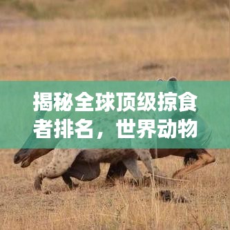 揭秘全球顶级掠食者排名，世界动物杀手大揭秘！