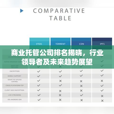 商业托管公司排名揭晓，行业领导者及未来趋势展望