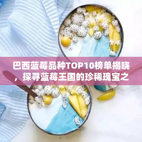 巴西蓝莓品种TOP10榜单揭晓，探寻蓝莓王国的珍稀瑰宝之选