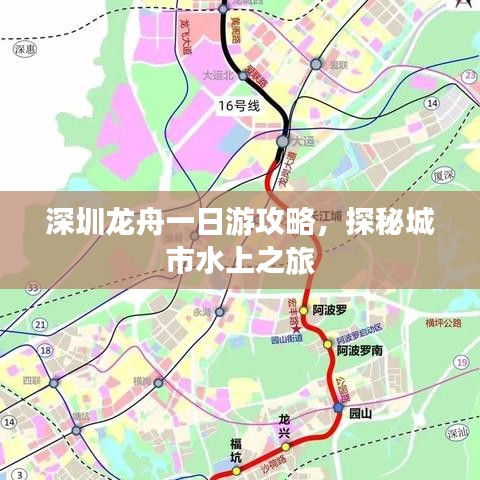 深圳龙舟一日游攻略，探秘城市水上之旅
