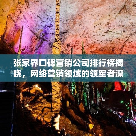 张家界口碑营销公司排行榜揭晓，网络营销领域的领军者深度探寻