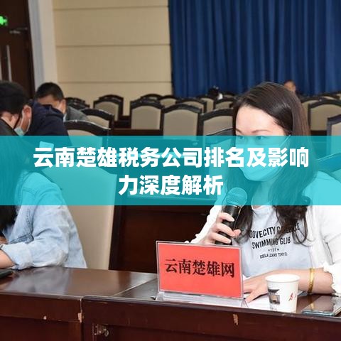 云南楚雄税务公司排名及影响力深度解析