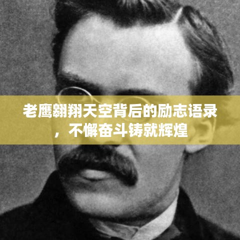老鹰翱翔天空背后的励志语录，不懈奋斗铸就辉煌