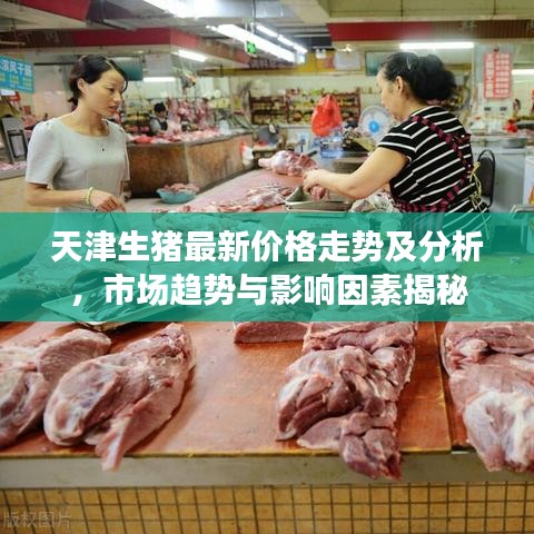 天津生猪最新价格走势及分析，市场趋势与影响因素揭秘