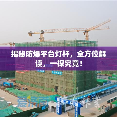2025年5月29日 第14页