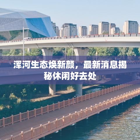 浑河生态焕新颜，最新消息揭秘休闲好去处