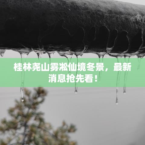 桂林尧山雾凇仙境冬景，最新消息抢先看！