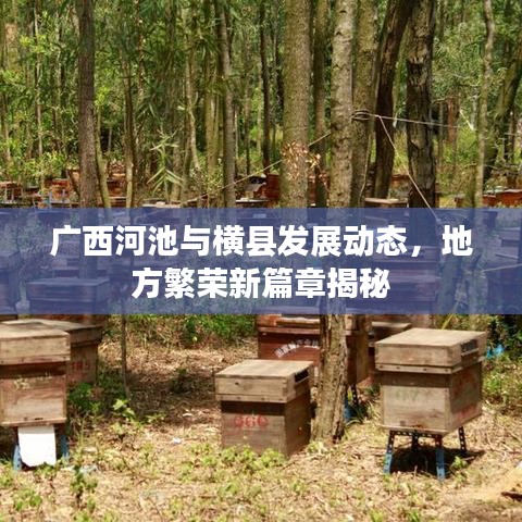 广西河池与横县发展动态，地方繁荣新篇章揭秘