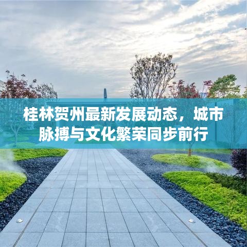 桂林贺州最新发展动态，城市脉搏与文化繁荣同步前行