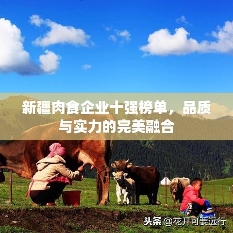 新疆肉食企业十强榜单，品质与实力的完美融合
