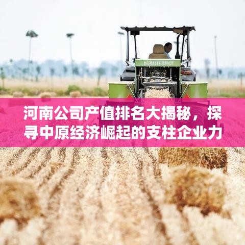 河南公司产值排名大揭秘，探寻中原经济崛起的支柱企业力量