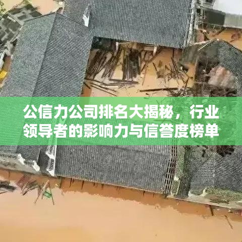 公信力公司排名大揭秘，行业领导者的影响力与信誉度榜单