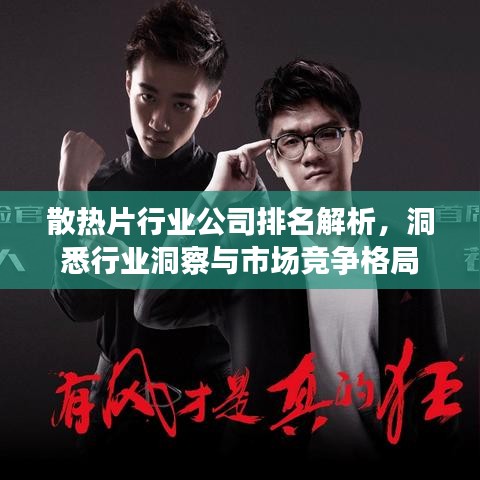 散热片行业公司排名解析，洞悉行业洞察与市场竞争格局