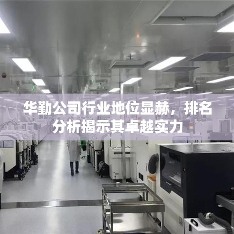 华勤公司行业地位显赫，排名分析揭示其卓越实力