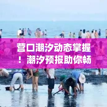 营口潮汐动态掌握！潮汐预报助你畅游海滨城市！