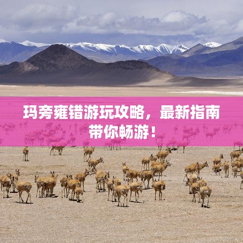玛旁雍错游玩攻略，最新指南带你畅游！