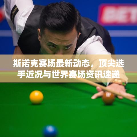 斯诺克赛场最新动态，顶尖选手近况与世界赛场资讯速递