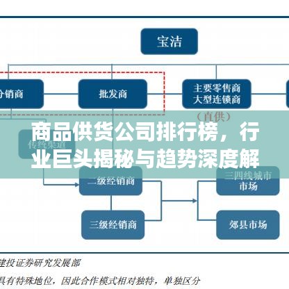 商品供货公司排行榜，行业巨头揭秘与趋势深度解读