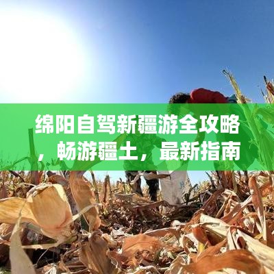 绵阳自驾新疆游全攻略，畅游疆土，最新指南助你一路畅游