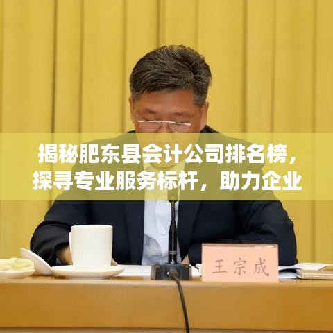 揭秘肥东县会计公司排名榜，探寻专业服务标杆，助力企业高效发展！