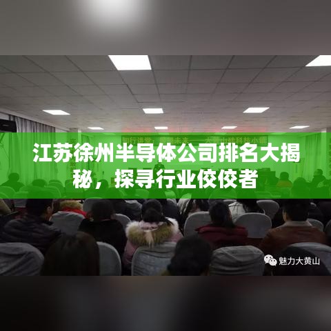 江苏徐州半导体公司排名大揭秘，探寻行业佼佼者