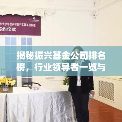 揭秘振兴基金公司排名榜，行业领导者一览与发展趋势展望