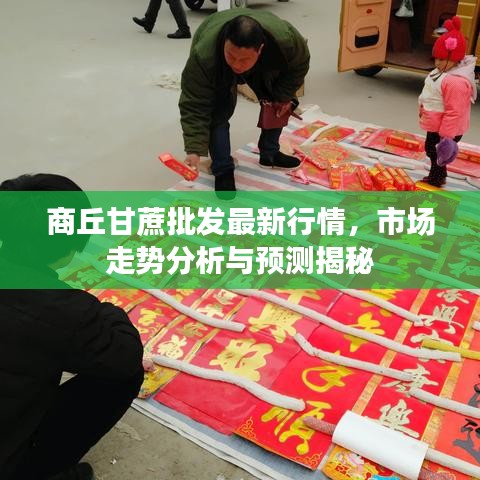 商丘甘蔗批发最新行情，市场走势分析与预测揭秘