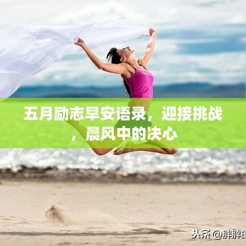 五月励志早安语录，迎接挑战，晨风中的决心