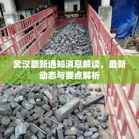 武汉最新通知消息解读，最新动态与要点解析