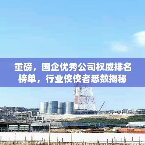 重磅，国企优秀公司权威排名榜单，行业佼佼者悉数揭秘