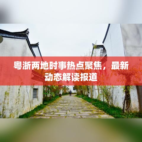 粤浙两地时事热点聚焦，最新动态解读报道