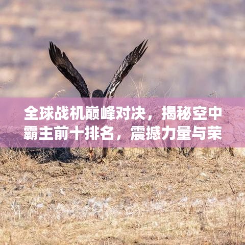 全球战机巅峰对决，揭秘空中霸主前十排名，震撼力量与荣耀展现
