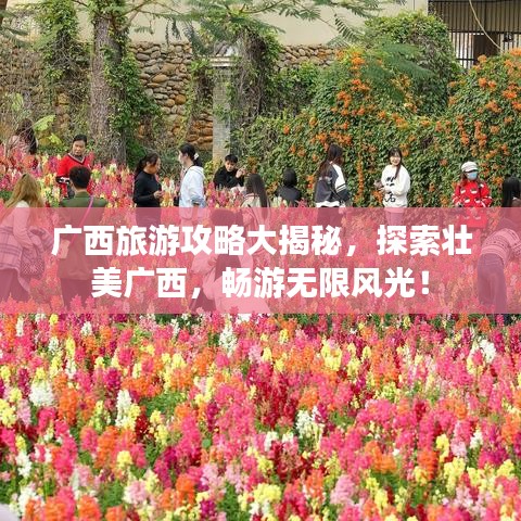 广西旅游攻略大揭秘，探索壮美广西，畅游无限风光！