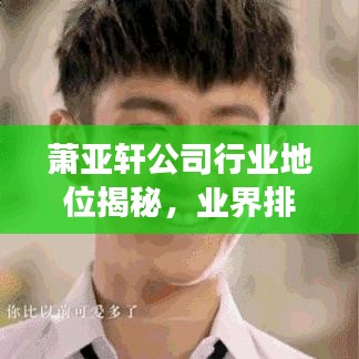 萧亚轩公司行业地位揭秘，业界排名与发展展望