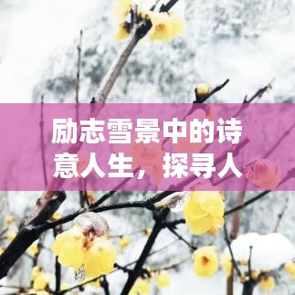 励志雪景中的诗意人生，探寻人生美好境界