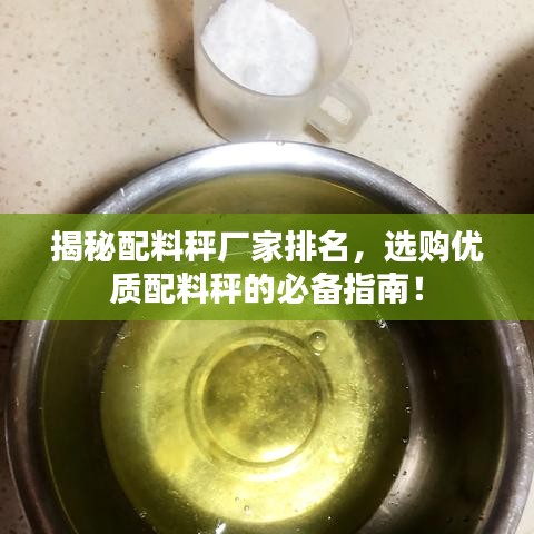 揭秘配料秤厂家排名，选购优质配料秤的必备指南！