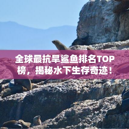 全球最抗旱鲨鱼排名TOP榜，揭秘水下生存奇迹！