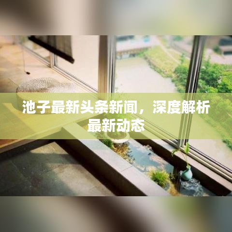 池子最新头条新闻，深度解析最新动态