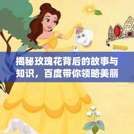 揭秘玫瑰花背后的故事与知识，百度带你领略美丽与智慧之旅