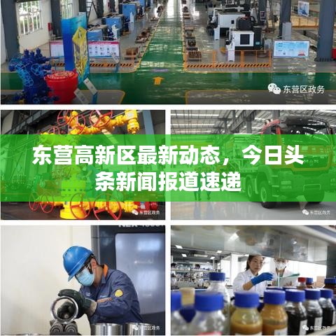 东营高新区最新动态，今日头条新闻报道速递