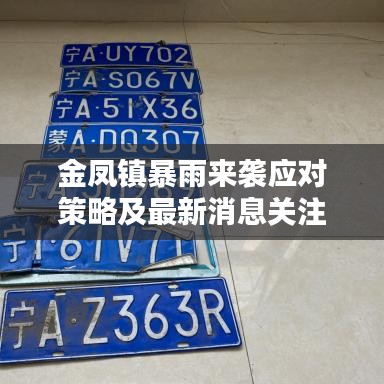 金凤镇暴雨来袭应对策略及最新消息关注！