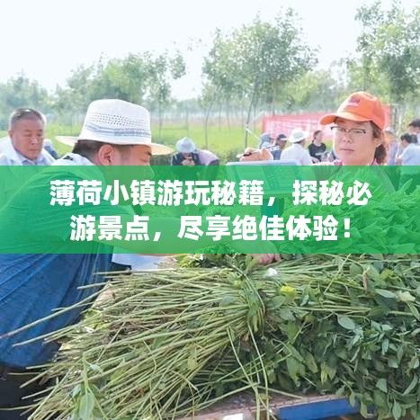 薄荷小镇游玩秘籍，探秘必游景点，尽享绝佳体验！