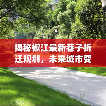 揭秘椒江最新巷子拆迁规划，未来城市变迁抢先看！
