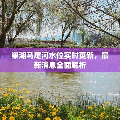 巢湖马尾河水位实时更新，最新消息全面解析