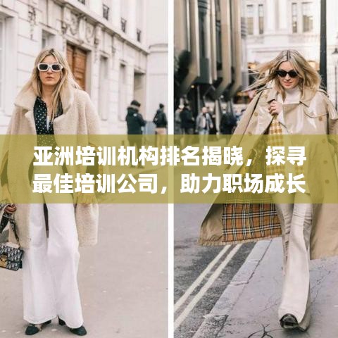 亚洲培训机构排名揭晓，探寻最佳培训公司，助力职场成长！