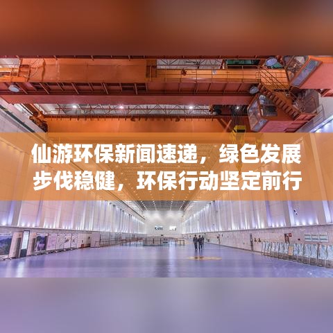 仙游环保新闻速递，绿色发展步伐稳健，环保行动坚定前行